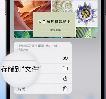 邗江apple维修中心分享iPhone文件应用中存储和找到下载文件