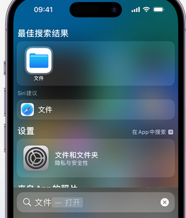 邗江apple维修中心分享iPhone文件应用中存储和找到下载文件 