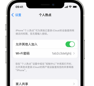 邗江apple服务站点分享iPhone上个人热点丢失了怎么办 