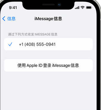 邗江apple维修iPhone上无法正常发送iMessage信息