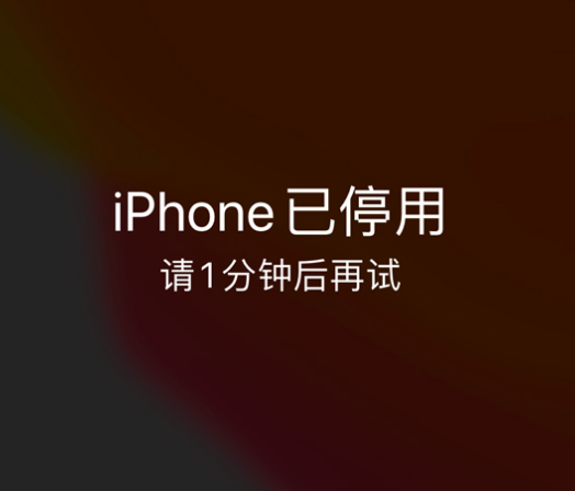 邗江苹果手机维修分享:iPhone 显示“不可用”或“已停用”怎么办？还能保留数据吗？ 