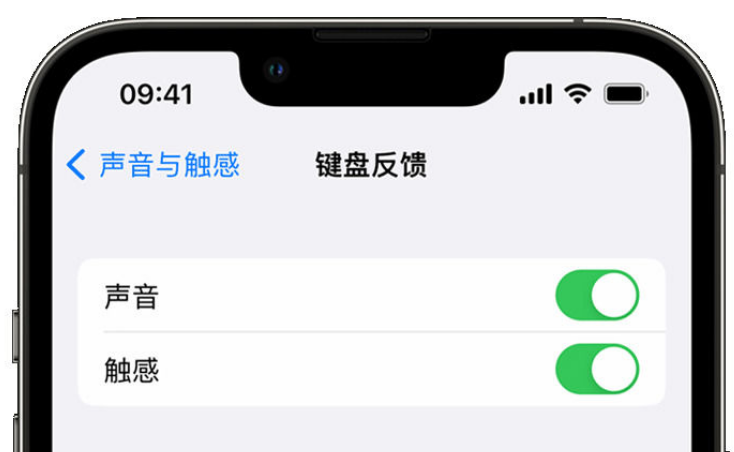 邗江苹果手机维修分享iPhone 14触感键盘使用方法 