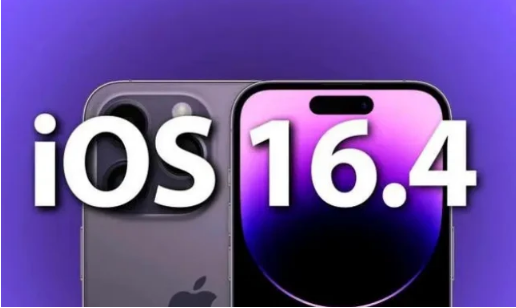 邗江苹果14维修分享：iPhone14可以升级iOS16.4beta2吗？ 