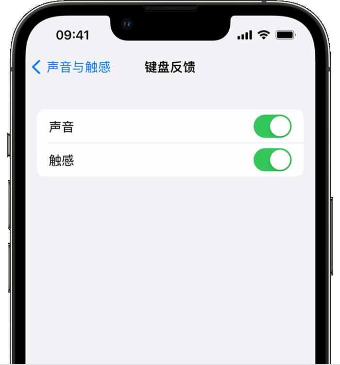 邗江苹果14维修店分享如何在 iPhone 14 机型中使用触感键盘 