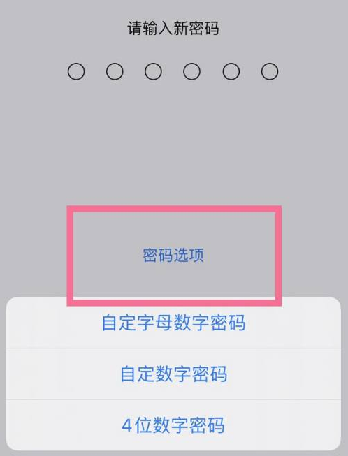 邗江苹果14维修分享iPhone 14plus设置密码的方法 