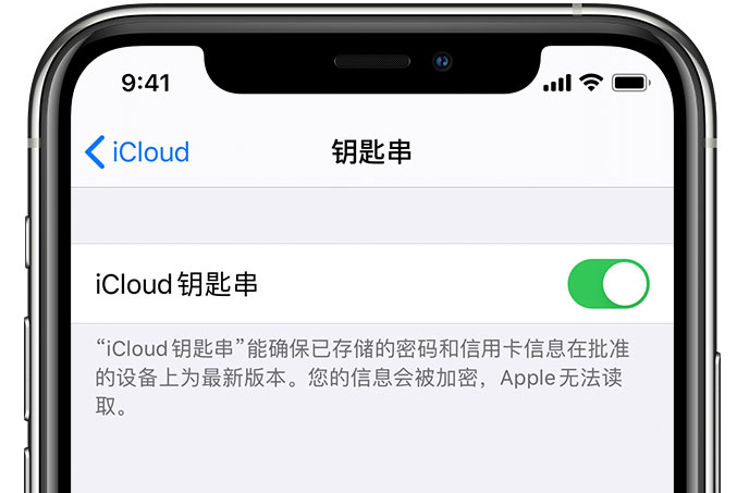 邗江苹果手机维修分享在 iPhone 上开启 iCloud 钥匙串之后会储存哪些信息 