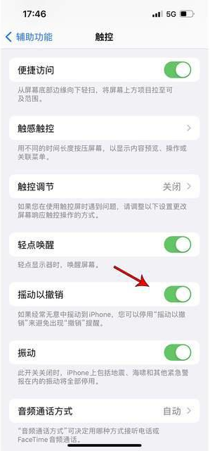 邗江苹果手机维修分享iPhone手机如何设置摇一摇删除文字 