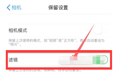 邗江苹果13维修分享iPhone13拍照有绿点是怎么回事 