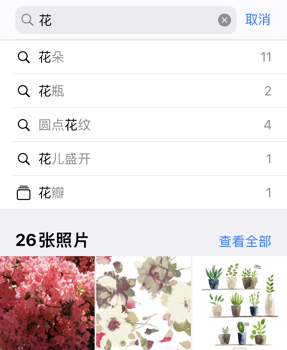 邗江苹果手机维修分享iPhone 小技巧 