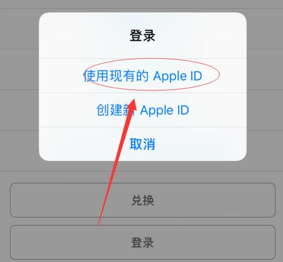 邗江苹果手机维修分享两台iPhone设备可以同时登录一个Apple ID吗 