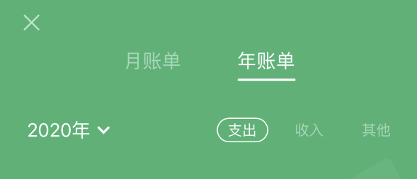 邗江苹果手机维修分享如何在 iPhone 上查看支付宝和微信年支出账单 